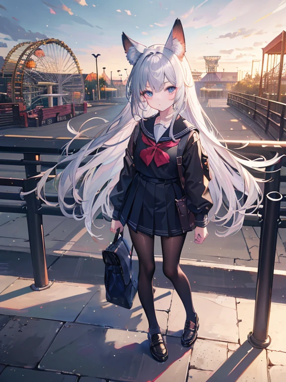 Bag