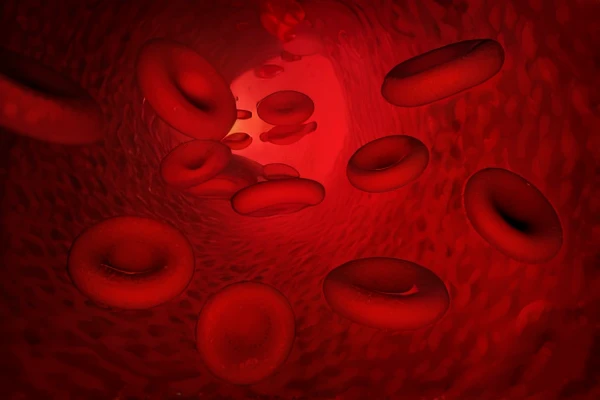 Red blood cells circulating inside the human body