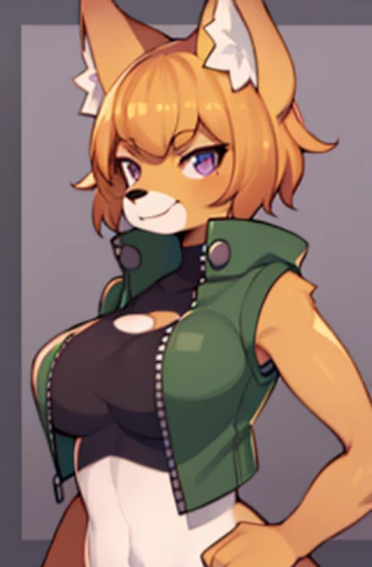 best quality, masterpiece, solo, 1girl, furry, portrait, anthropomorphic female Fox, punk outfit, torn clothes, anthro, smug smile, half-closed eyes, looking at the viewer, dyed hair, seductive look