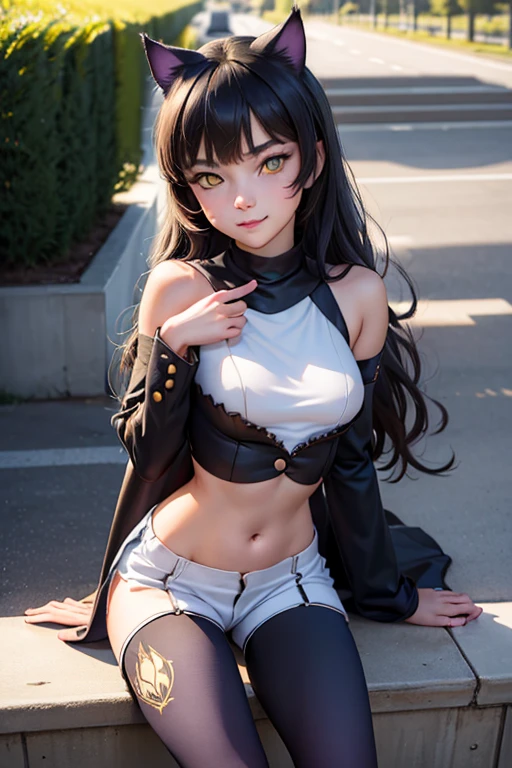 ((best
quality)), ((highly detailed)), masterpiece, absurdres, extremely
detailed face, beautiful face, caucasian, (detailed eyes, deep eyes), (1girl), blake_belladonna, yellow
eyes, cat ears, smiling, crop top, midriff, pantyhose,
boots, shorts, thighhighs, airport, summer afternoon, cute face