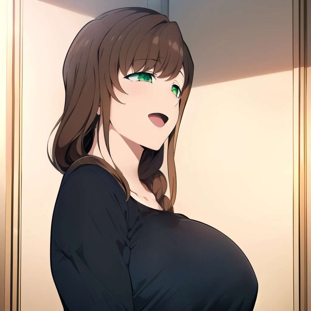 hd masterpiece, best quality, 1girl, solo, long hair, (((black shirt)), opened mouth, brown hair, braid , ears, :d, DETAILED GREEN eyes, iris, opened mouth, braid, ((door)),