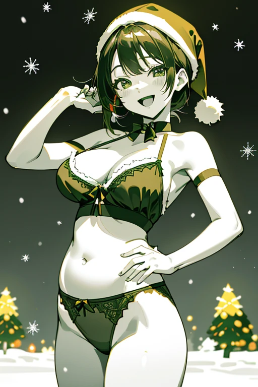 ((masterpiece、top-quality:1.5、a high chroma:1.5、ultra-detailliert、high-resolution illustrations:1.5、Ultra-high-definition CG、8k size wallpaper、offcial art))、,(beautiful countenance、:1.5)、(seductive smile:1.3),((grab your belly:1.5)),
(sexy body)、(((christmas color) micro lingerie :1.5)),(santa hat),(Standing:1.5)、Seductive smile,Open mouth, (large breasts:1.3)、
,(positive:1.5),(cowboy shot:1.5)、(The background is a snow scene colors:1.5)、girl with, masutepiece,