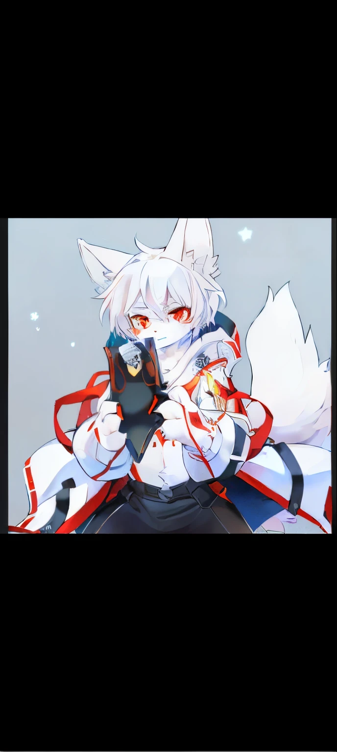 ,white fox anime, White-haired fox, Starting from the night of the ark , beast wild, vampire white fox, Fox letter, white fox, Fox type armor, , White fox ears,red color eyes,Full body picture