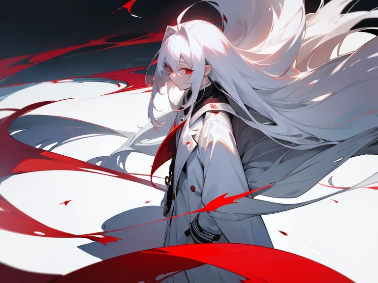 Highest quality I have long hair Hina Sorazaki Red eyes I don't have anything Blue and red odd eyes Cat ear One person
