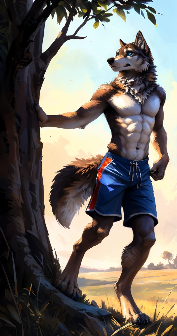 ((Solo)), male people, anthro wolf, (Multi-colored fur, White-brown:1.3，White tail pointed), (Height 2.1m,Tail length 1.2m), ((Wolf face, Big eyes, White eyelids, Blue pupil, Slim:1.2) (Tough, Calm expression:1.2)), Abs, Slim, pinging)), (Correct anatomy), (Work shorts:1.1), The upper body is naked, (detailed outfits),A long big tail，Feet，(Realistic fur, Detailed fur texture, labeled:1.3)), (Natural lighting), Photorealistic, Hyperrealistic, ultradetailed, by Kenket，Endless grasslands，There are no trees，There are no big stones，No artificiality，erect through，Running on