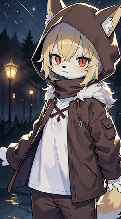 Fox Boy,Shota,hairy pubic,shaggy,Skin fur,Golden fur,Golden yellow face fur,Short straight blonde hair,Eyes have light,Red eyes,Brown elements on fur,Brown coat brown hood up,Star pattern white top,brown trousers,Beautiful lights and shadows,Ambient light,Ultra-fine fur,volumettic light,Night,natural lightting,Fluffy tail,Night,starrysky,Vast landscape,crossed bangs, Hairline, Shiny hair, lone nape hair, rainy outside,Rained,Rained,raining mood,wash off in the rain,Dilated pupils,Sleepy,(moon full:1.2),(meteors:0.9),(Starcloud:1.3),seawall(Warm light source:1.2),(glowworm:1.2), Purple and orange,Complicated details,Volumetriclighting,Realist breakthrough(tmasterpiece:1.2)(best qualtiy),4K,Ultra-delicate,(Dynamic configuration:1.4),Highly detailed and colorful details,(Irridescent color :1.2),(luminouslighting,Atmospheric lighting),dream magical,magic,(独奏:1.2)Glowing light,Empty eyes, partial underwater shot
