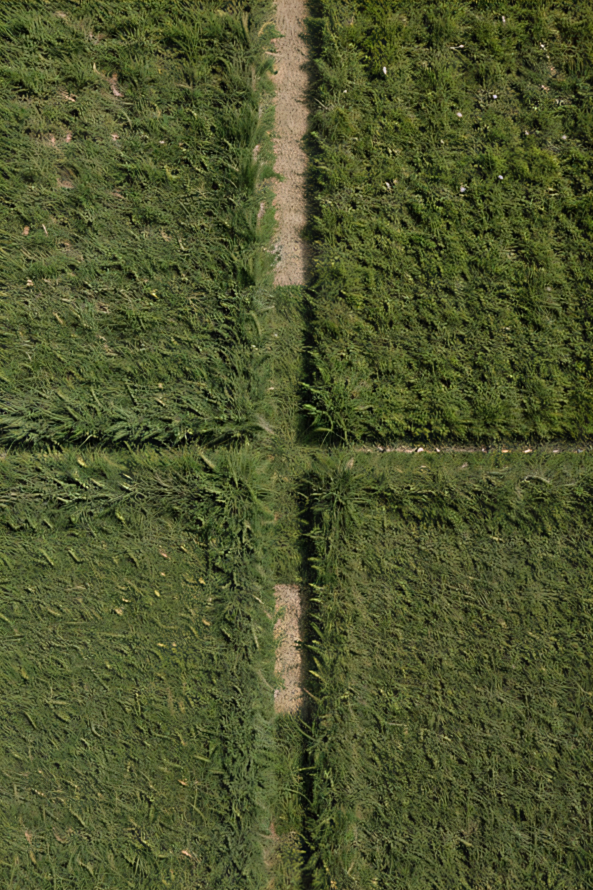 On the green grassland, there is a large square it's length and width composed of small squares (with four small squares inside) and a cone in the middle