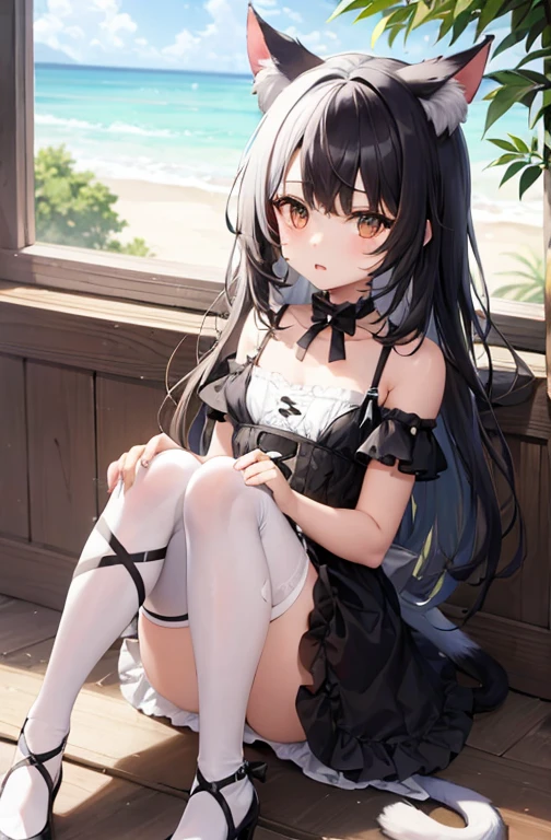 1 girl,Half white and half black hair,small ,cat girl dress, Poor milk, tmasterpiece,