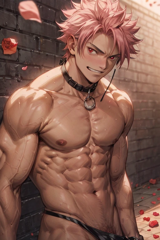 Dynamic angle, masterpiece, best quality red eyes, game cg, 1boy, adult male solo, male focus, looking at viewer smirking, upper body, Natsu Dragneel natsu_dragneel, pink hair, red eyes, bdsm chained up kidnapped, chained up body and hands , toned muscle, pectorals, 8 abs, toned legs, slightly bulged, rose bushes background, detailed, spotlight, well lit, ((rose petals:1.5)) (leash on neck:1.2)(naked:1.2)(:1.2)