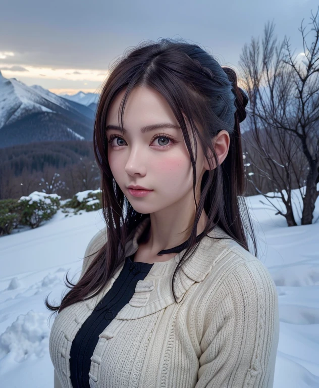 ((​master piece)),Best Quality, Illustration, Dark, 1girl in, In the wilderness,High hills,Snow-capped mountains in the distance々, castle, Beautiful detailed eyes, beautiful detailed hair,