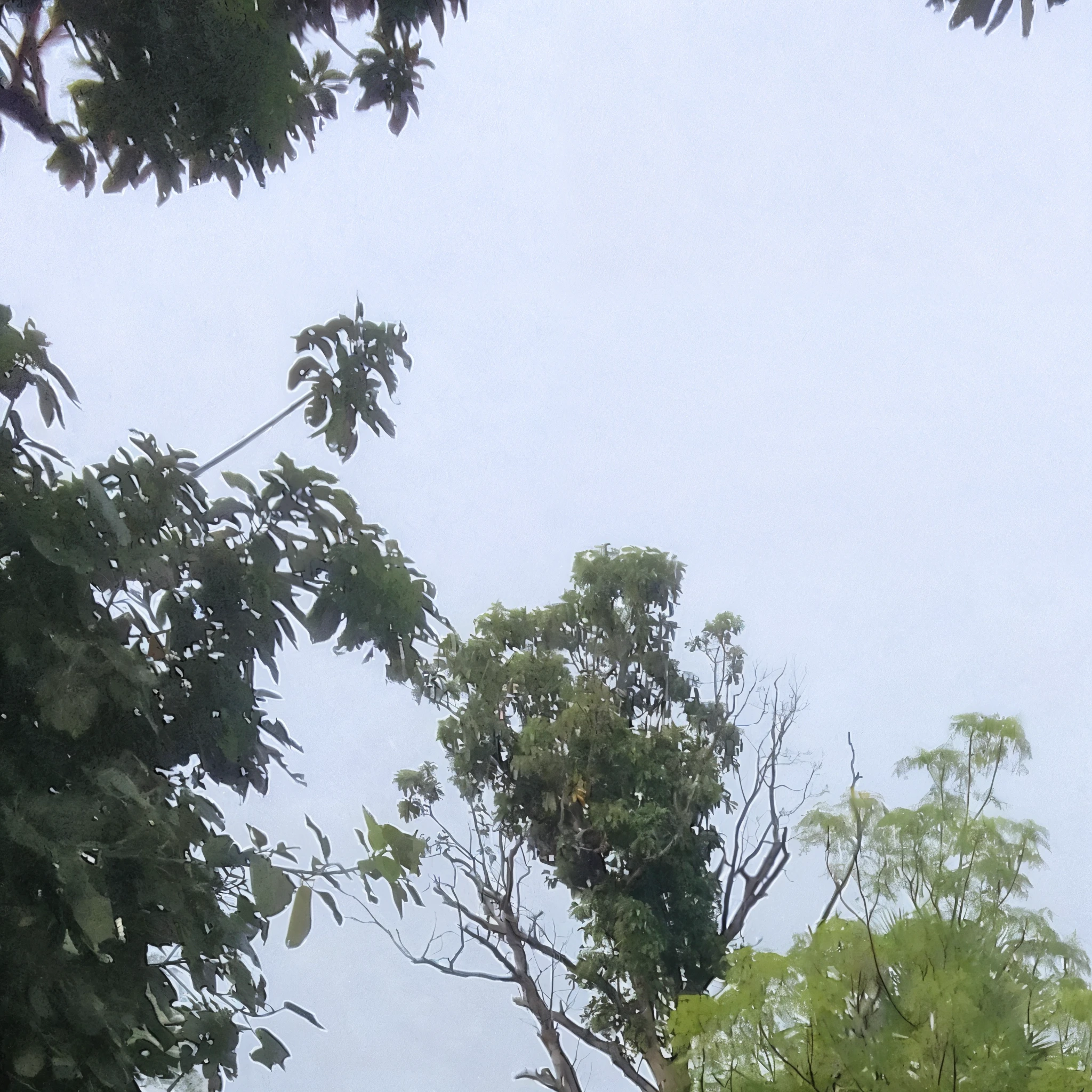 there is a man standing on the side of the road with a backpack, standing in road, on a road, standing bravely on the road, distant full body view, lonely scenery yet peaceful!!, distant full body shot, very accurate photo, standing in street, in front of a forest background, without helmet, with village, in a vast serene landscape