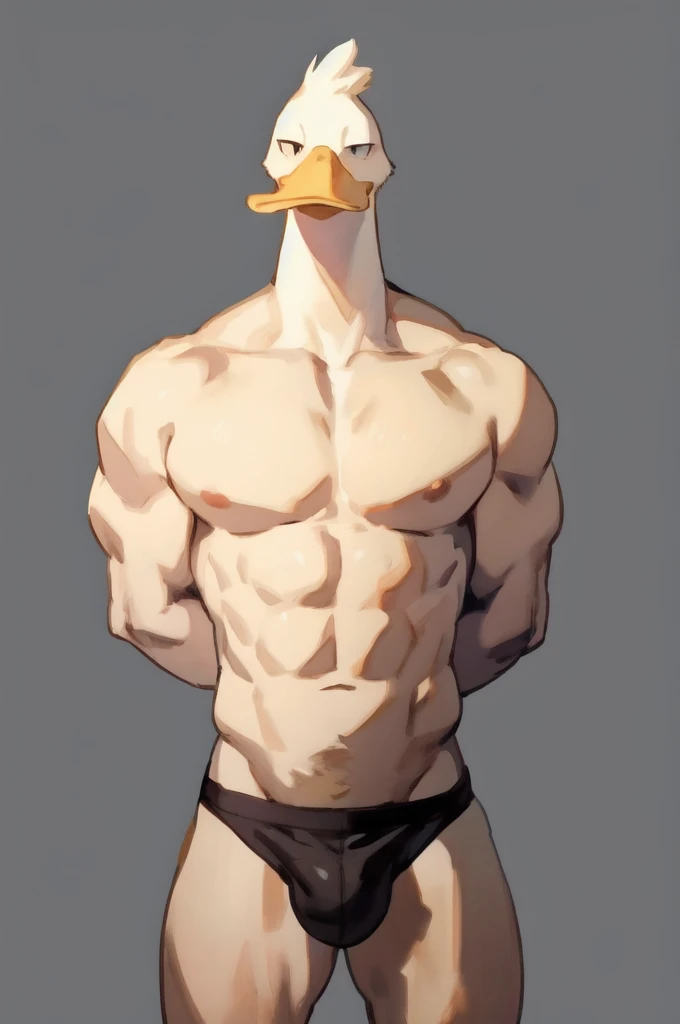 Solo, Furry, Anthro, Duck, Male, E621, Standing, Muscular, Hands behind back, Wearing underwear, Plain background, Front view, Light skin, By bebebebebe