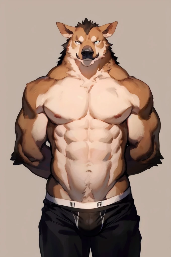Solo, Furry, Anthro, Boar, Male, E621, Standing, Muscular, Hands behind back, Wearing underwear, Plain background, Front view, Light skin, By bebebebebe