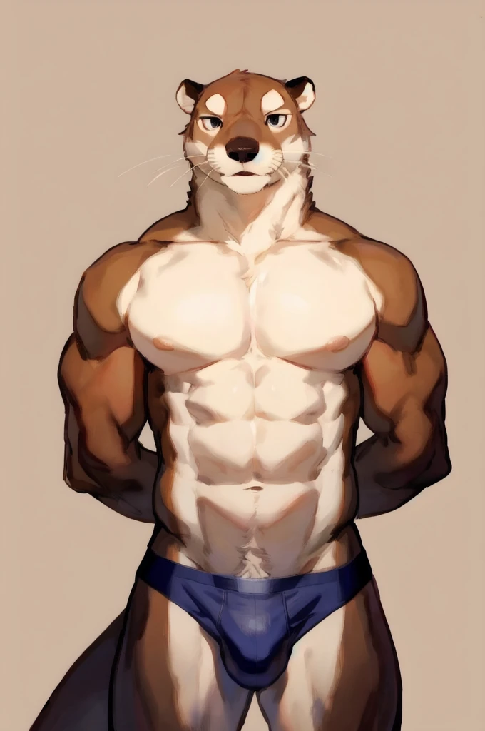 Solo, Furry, Anthro, Otter, Male, E621, Standing, Muscular, Hands behind back, Wearing underwear, Plain background, Front view, Light skin, By bebebebebe