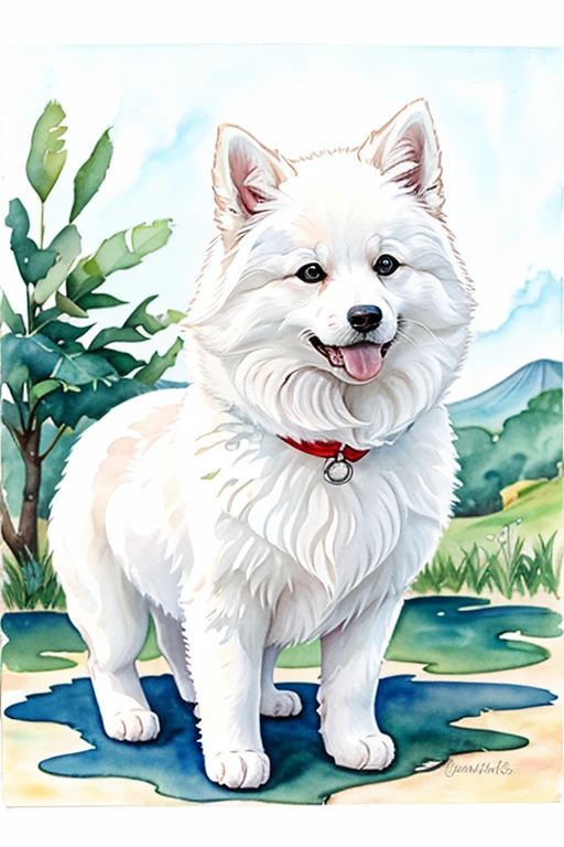 white fluffy, Japanese spitz cartoon, watercolor drawing, oil paints, for children's book, no background