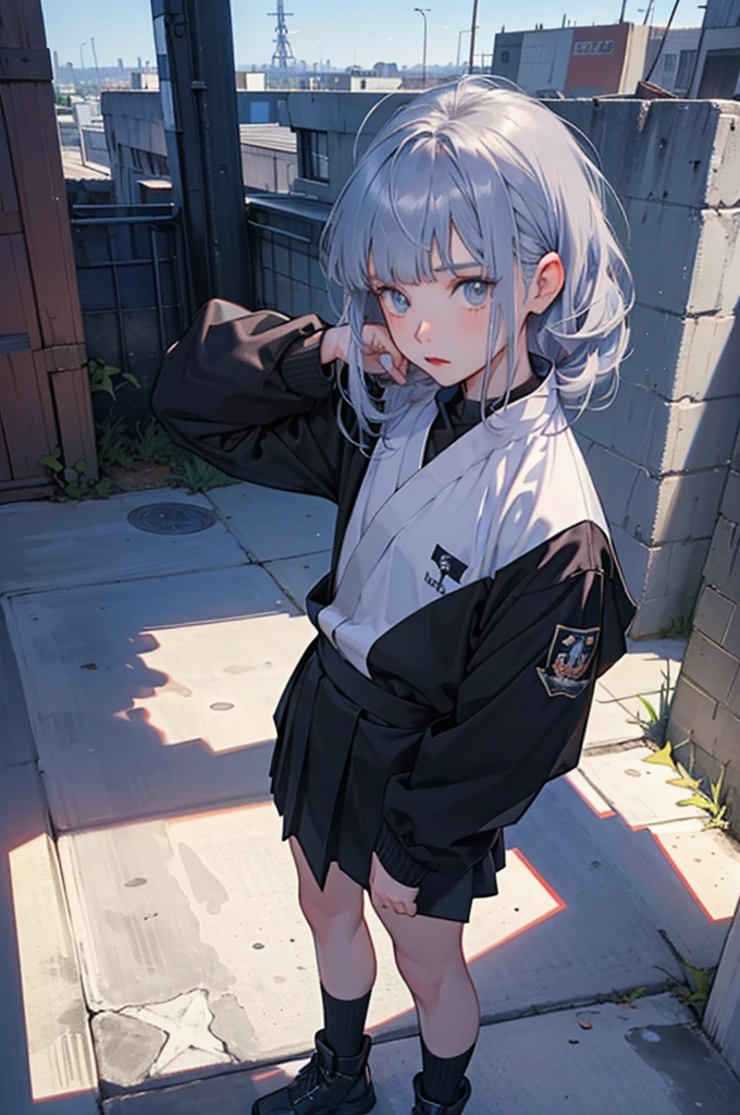anime moe art style,Best Anime 8K Konachan Wallpapers,Badass Anime 8K,Perfect Anatomy, (Please draw a picture of a girl looking down on the city from the rooftop..........)From diagonally above,overhead angle,BREAK, 1 That girl is a female swordsman, (Solo,Lori,child,18year old:1.3), Androgynous attraction, (very long gray hair, Blunt bangs), Full limbs, complete fingers,flat chest, Small butt, groin, Beautiful dark eyes created by detailed 8K, jaket,Obi,flowing skirt, standing on the roof of a skyscrapper. BREAK, i have a mission.。Sasasasa...。Ultra-detailed,High resolution,super detailed skin, Professional Lighting, Illustration,Landscape of the near future