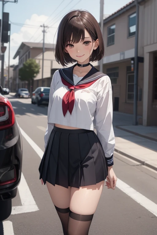 (masterpiece:1.3),(best quality:1.4),ultra high res,(detailed eyes),(detailed facial features),(detailed clothes features),HDR,8k resolution, solo focus, bangs, skin tight, (shiny skin),(slender girl),dreamlike,
(extreme detailed illustration),check commentary,commentary request,scenery,no text,
VirtualGirl-Rin, happy, smile, (small breasts), bangs, bob hair, short hair, brown hair, brown eyes, black choker,
1girl, 
student, schoolgirl, white high school uniform,sailor suit,dark red pleated skirt, stockings,sneakers,