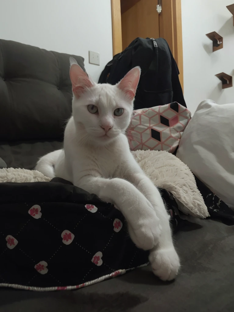 White cat with pink ears lying on his bed with his paws out looking at the camera, 4K HD resolution, imagem de alta qualidade, imagem premiada, imagem da National Geographic com fundo granulado, imagem premiada, imagem premiada, hiper-realista, alta resolução, muito detalhada, imagem premiada, muito detalhada, Qualidade HD