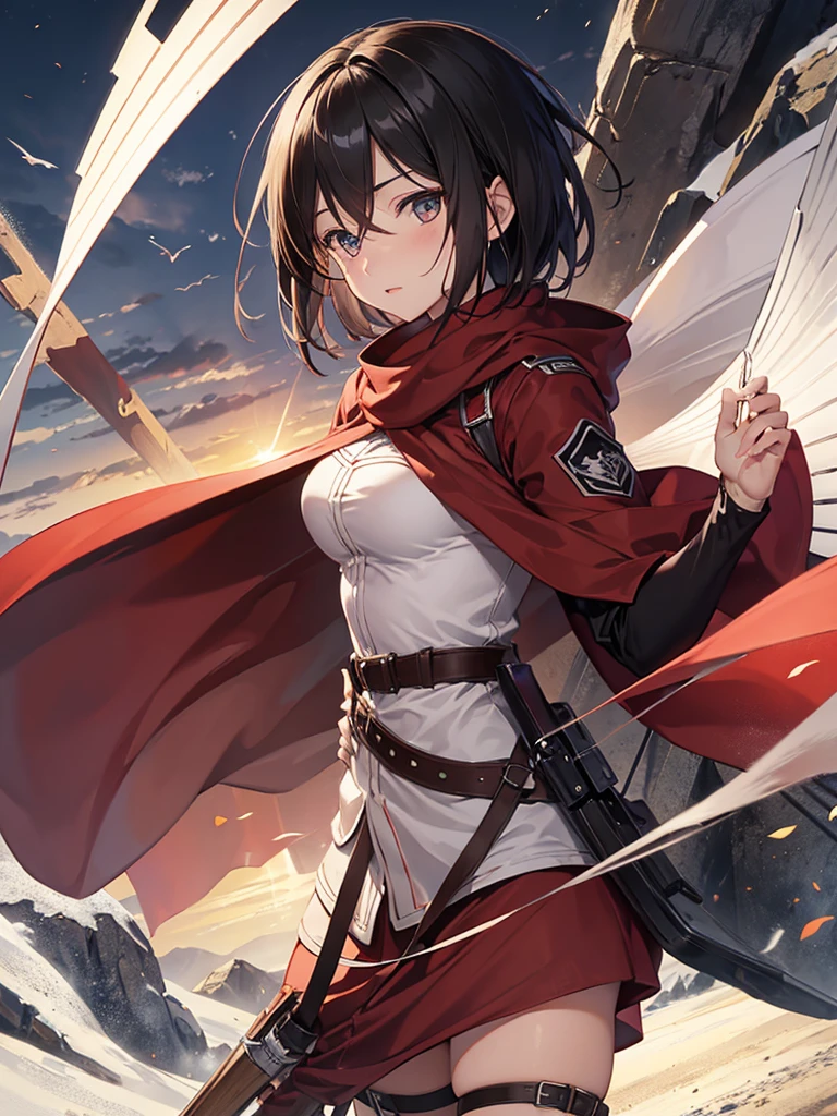 Mikasa.