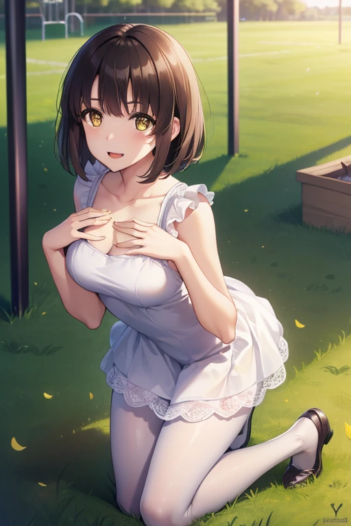 ((full body)), ((full pose)), ((medium BREASTS)), ((happy face:1.4)), ((open mouth)), ((kneeling on grass)), ((playground background)), megumi katou, brown hair, short hair, (yellow eyes:1.5), ((black pantyhose)), (white dress:1.5), BREAK (masterpiece:1.2), best quality, high resolution, unity 8k wallpaper, (illustration:0.8), (beautiful detailed eyes:1.6), extremely detailed face, perfect lighting, extremely detailed CG, (perfect hands, perfect anatomy),
