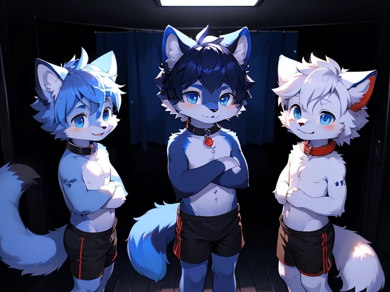 tmasterpiece, High-quality portraits, 16k, hairy,( The white_the hair, eBlue eyes, Blue fur:1.2), Red Fox, cub, boy playing, collars, White cat wearing black tight shorts,standing in a dark room,Has a long tail,He wears a red collar around his neck
