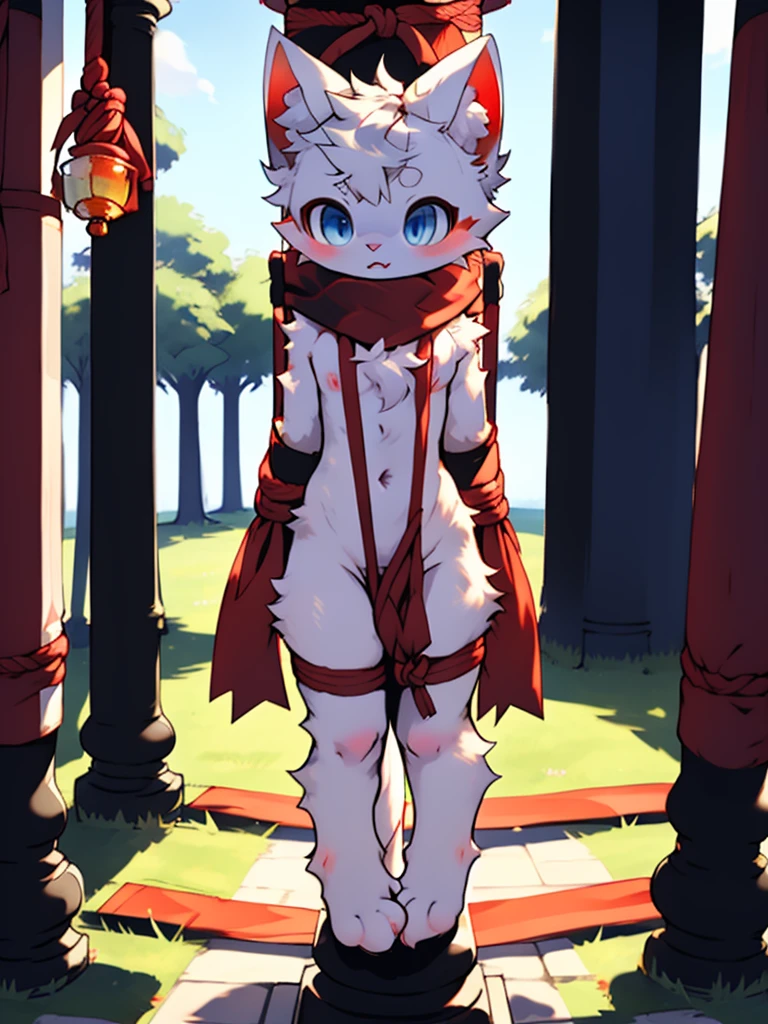 a white cat#39;S#39;S#39;S#39;S#39;S#39;S#39;S#39;S#39;S#39;s limbs were tied to the pillar with red ropes.!,A cat tied to a post with a red rope, White cat wrapped in red rope,catss#39;S#39;The limbs on the pillars are tightly wrapped with red ropes!!!Thighs separated by rope, Nice tail!!china blue eyes, cat hanging by rope, horrified expression