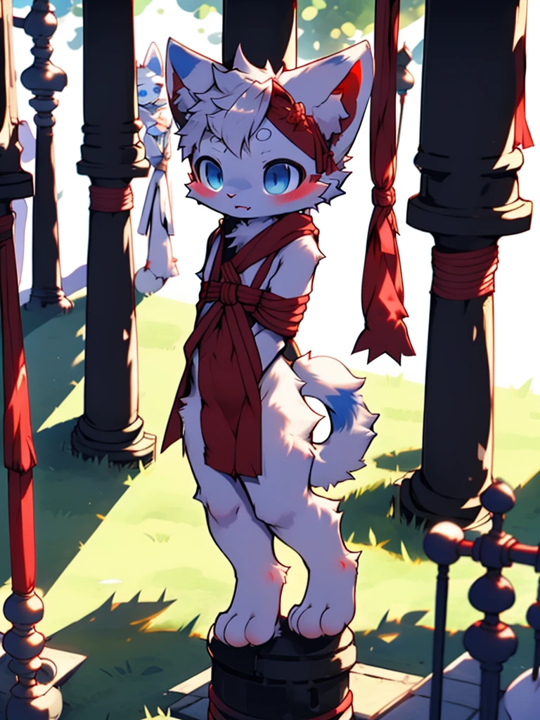 a white cat#39;S#39;S#39;S#39;S#39;S#39;S#39;S#39;S#39;s limbs were tied to the pillar with red ropes.！,A cat tied to a post with a red rope, White cat wrapped in red rope，catss#39;S#39;The limbs on the pillars are tightly wrapped with red ropes！！！Thighs separated by rope， Nice tail！！china blue eyes,  cat hanging by rope, horrified expression