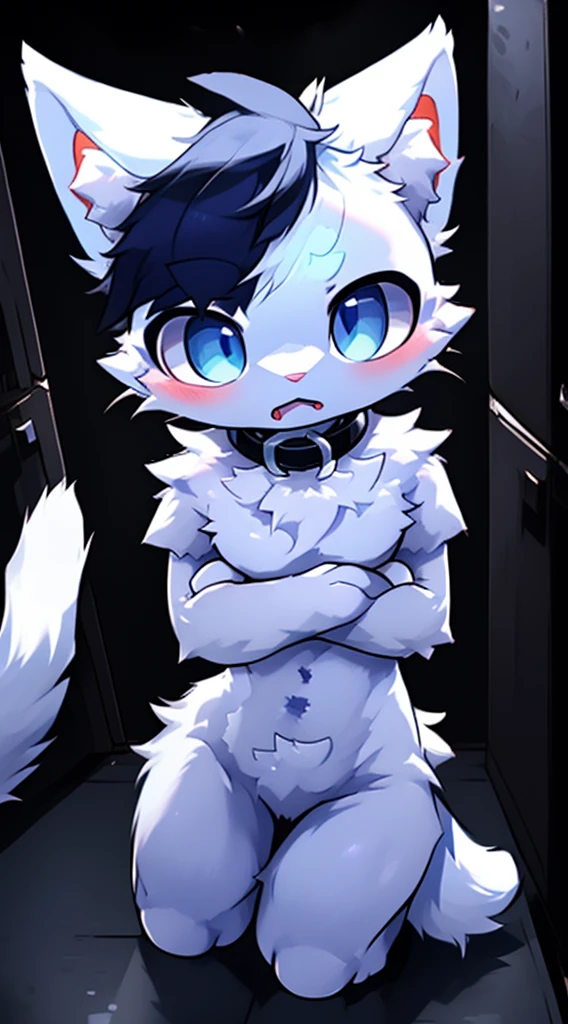 A white cat with blue eyes wearing,Trapped and unable to break free, white cat struggling,The neck locked by the collar!!!!in an empty dark room,horrified expression