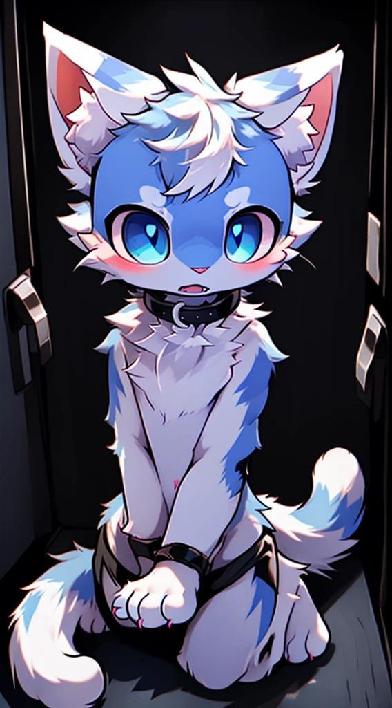 A white cat with blue eyes wearing,Trapped and unable to break free, white cat struggling,The neck locked by the collar!!!!in an empty dark room,horrified expression