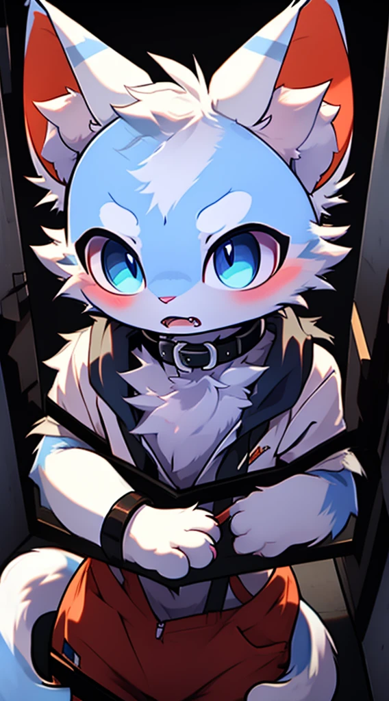 A white cat with blue eyes wearing,Trapped and unable to break free, white cat struggling,The neck locked by the collar!!!!in an empty dark room,horrified expression