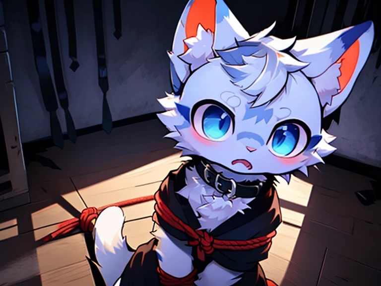 (Highest quality),(Become familiar with),background:Cliff climbing,Trapped on a cliff,rope,rope,Restraint and torture,Crying face,Sex,shortness of breath,Drooling,Tongue out,solo,Raise your hands,
Shota,whole body,Wolf,Long Parka,pants,Knee-high boots,Platform heels,whole bodyボロボロ,Stretch your legs,