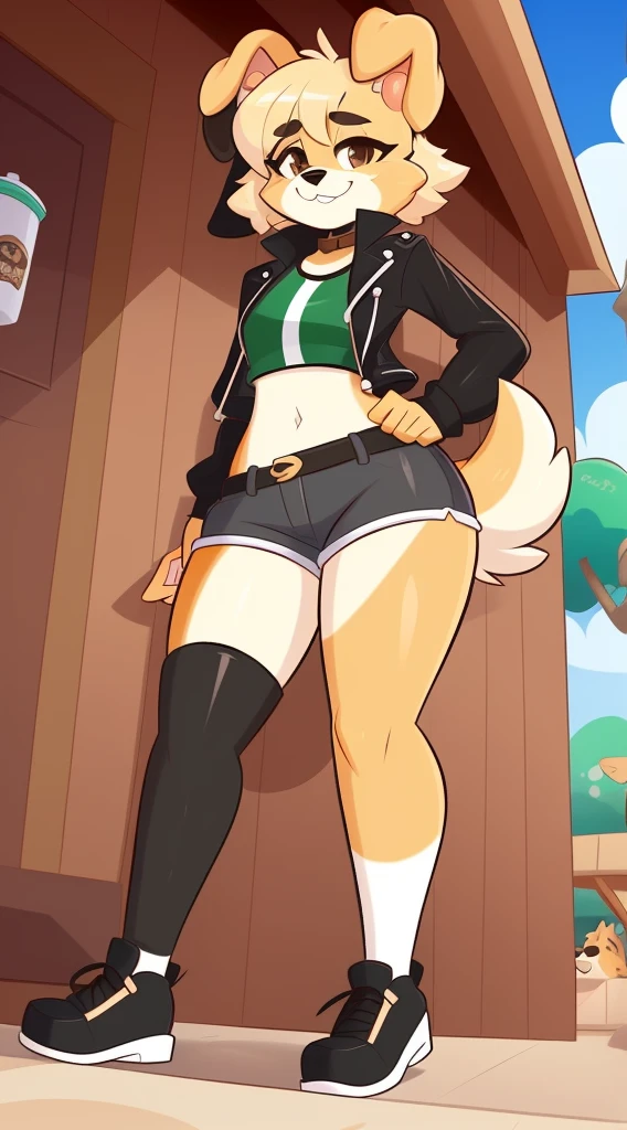 by Kilinah, Coffeesoda, Chioshiru, by Kilinah, (Best Quality, super detailed illustration), A  girl, (Anthro Dog:1.5) floppy ears, cream fur color, Short tousled hair, Robber's clothes, leather jacket, Shirt, Short shorts, DND Style , the perfect body, Extremely detailed, The legs are extremely detailed, The face is very detailed, The eyes are perfectly detailed, (The anatomy is very detailed:1.2), perspective, perky smile, Dynamic posture,