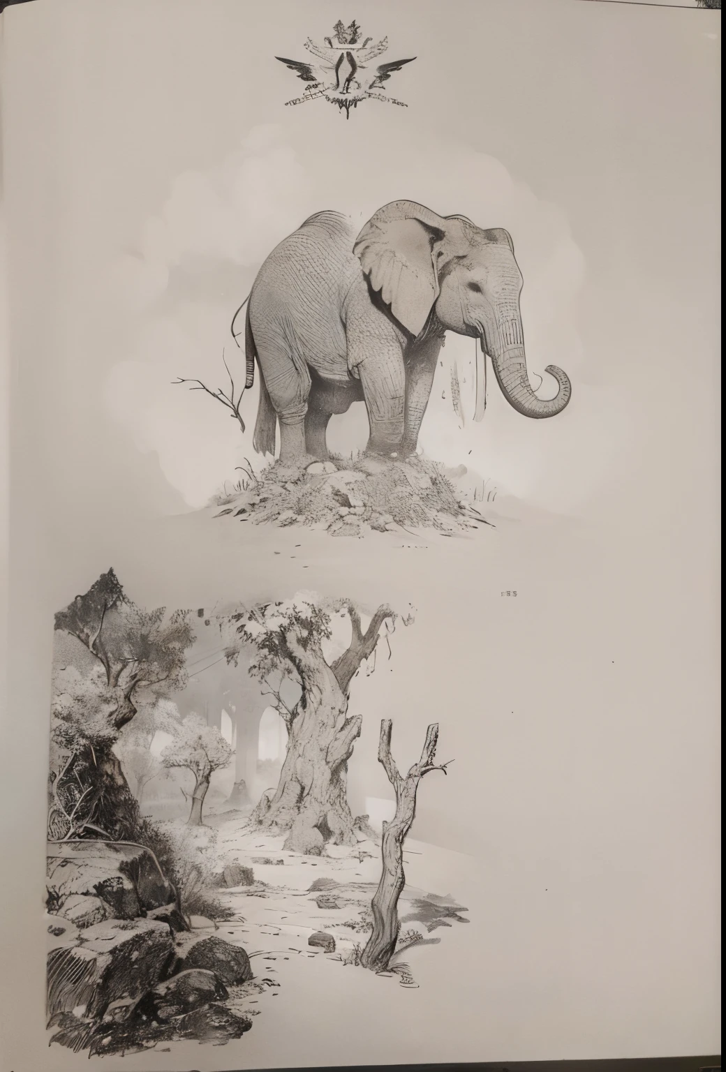 in mythical world,A bird offended,cursed by god,He was buried in the soil,The mouth went through the stone and grew into many vines,The body became a tree root,God sent elephants to guard it,it scorched by the sun,yearning for light。