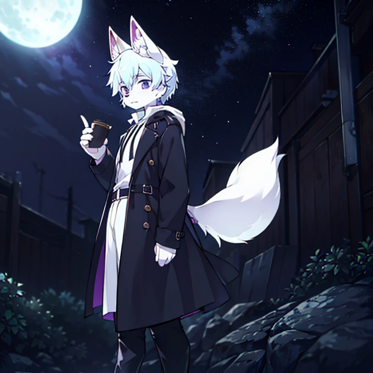 Furry sika deer,There a white fox tail on the back,White shirt and black long trench coat,Wearing black boots on his feet,Wearing a fox mask on the face,cover half of face,It has a pair of antlers and furry fox ears on its head.,Height 178 cm,eyes as dark blue as stars,It was beautiful,It's dotted with purple and green