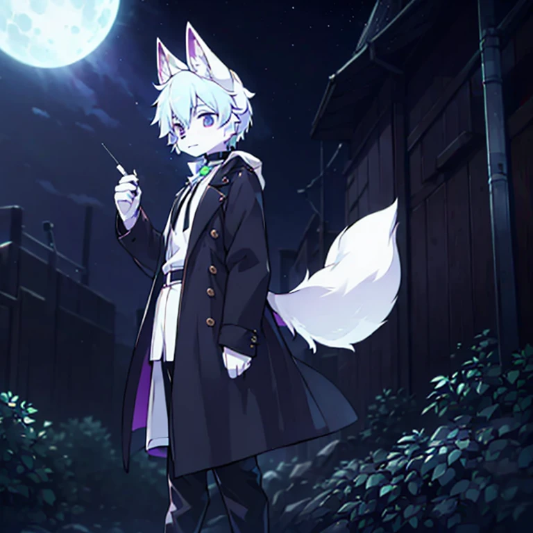 Furry sika deer,There a white fox tail on the back,white shirt+Long black trench coat,Wearing black boots on his feet,Wearing a fox mask on the face,cover half of face,It has a pair of antlers and furry fox ears on its head.,Height 178 cm,eyes as dark blue as stars,Dotted with purple and green,Black suit pants,astrophysics student,wear a choker around your neck,Elegant style