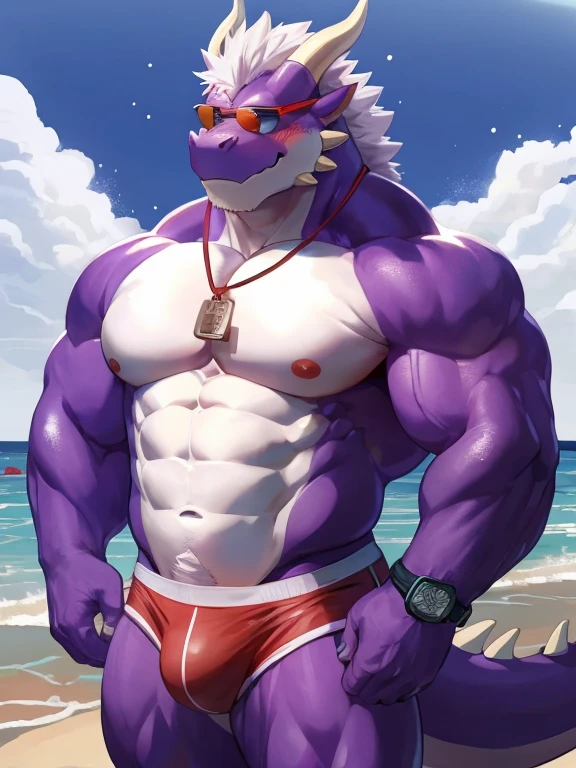 male, anthro, muscle, (kemono), (dragon), dark-purple body, blush, red swimwear, lifeguard, sunglasses, beach, half length portrait, white mane, horns, by bara, detailed background, light particles, hi res, bara