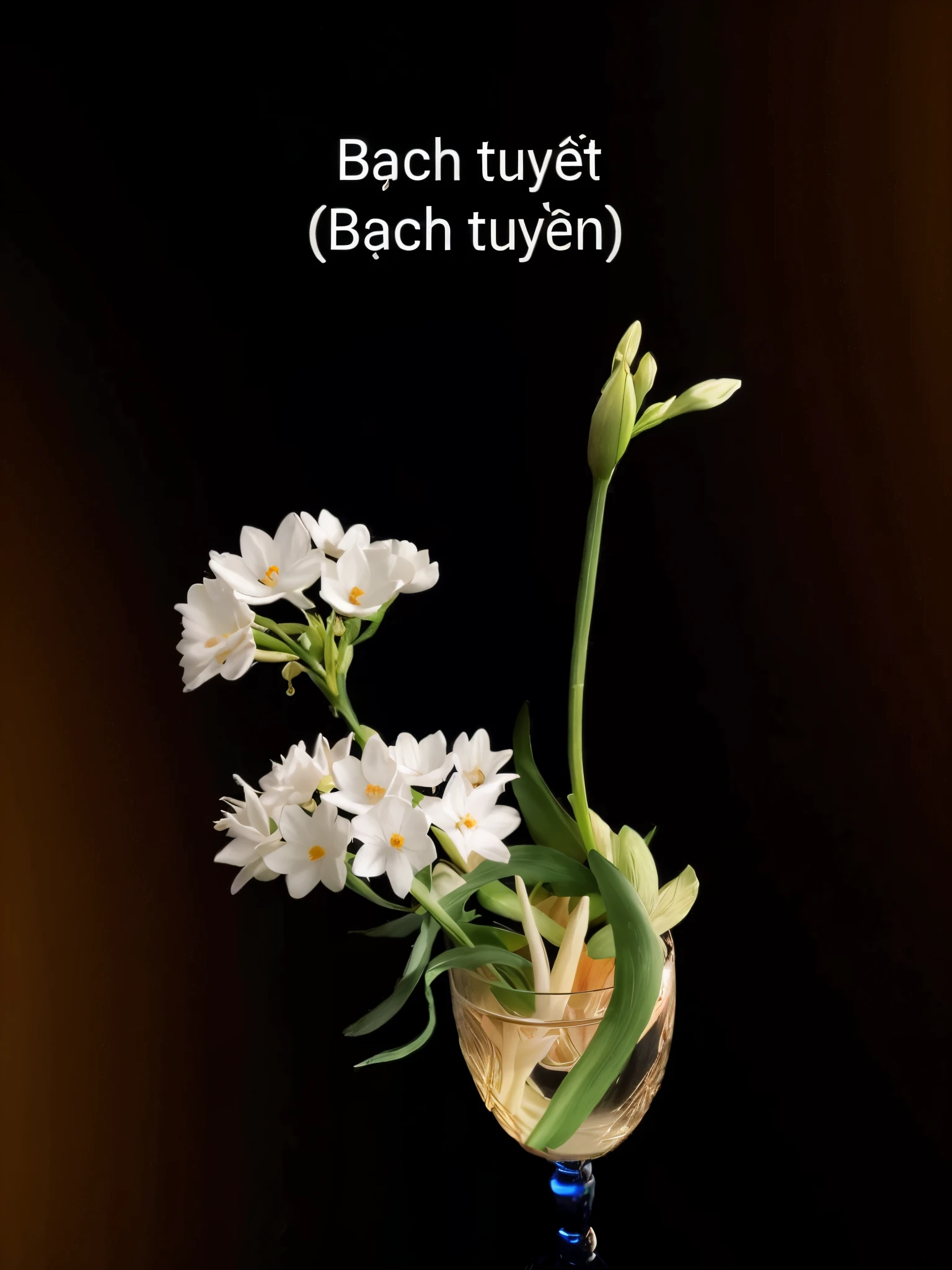 there a vase with white flowers in it on a table, by Andor Basch, with backlight, by Gyula Basch, boch, inspired by Tani Bunchō, rich composition, by Tani Bunchō, inspired by Gyula Basch, 中 元 节, nice composition