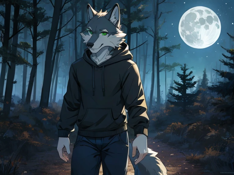 1 Wolf anthro boy, grey wolf, solo, walking, forest, green eyes, wear black hoodie, blue pants, night, full Moon, best quality, Masterpiece