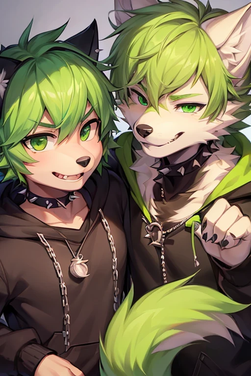 (((8K))), (((wolf))), ((spiky hair)), nose bandage, (((limegreen hair))), black fur, boy, schoolboy, cute boy, cute, lime green eyes, black hoodie with lime green hood, ((long muzzle)), smiling, delinquent, handsome, very detailed, intricate detail, detailed face, cute fang, enthusiastic, energetic, playful, pink nose, dog tags, chain accessories