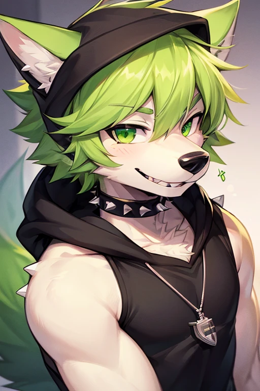 (((8K))), (((wolf))), ((spiky hair)), nose bandage, (((lime green hair))), (((black fur))), boy, schoolboy, cute boy, cute, lime green eyes, black hoodie with lime green hood, ((long muzzle)), smiling, delinquent, handsome, very detailed, intricate detail, detailed face, cute fang, enthusiastic, energetic, playful, pink nose, dog tags, chains, fluffy tail, (((hot)))