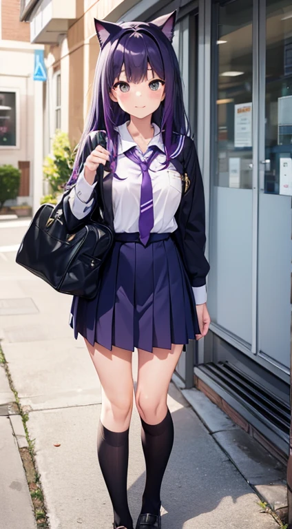 Gal, Purple hair, Cat ears, School uniform, a miniskirt