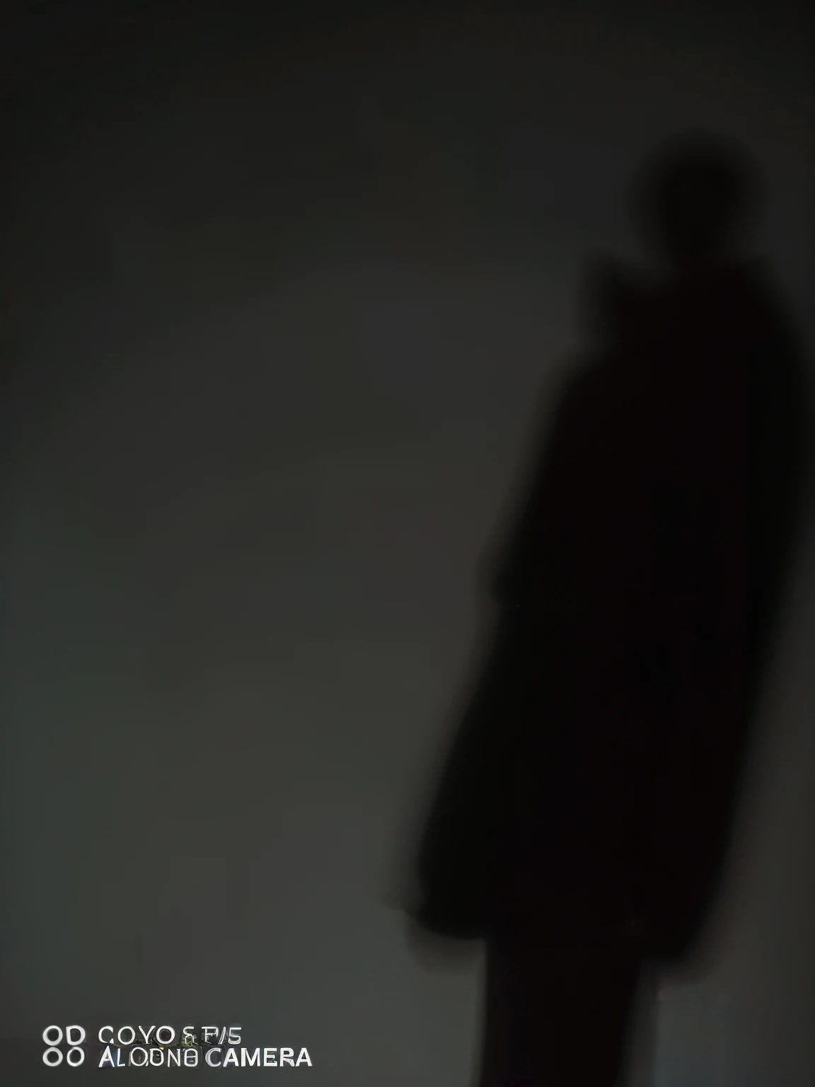 Draw a girl’s shadow next to the boy’s shadow