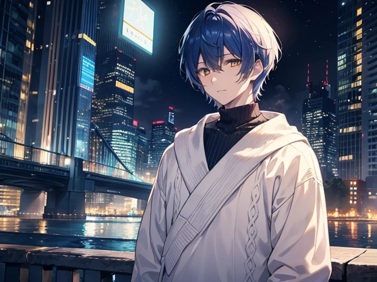 masutepiece, Best Quality, Ultra-detailed, Extremely detailed, 4K, 8K, Best Quality, Beautiful0, Winters, a handsome man, man, Solo, Wearing white knitwear, Beautiful dark blue hair, Beautiful yellow eyes, handsome eyes, Short hair, lightsmile、nighttime scene