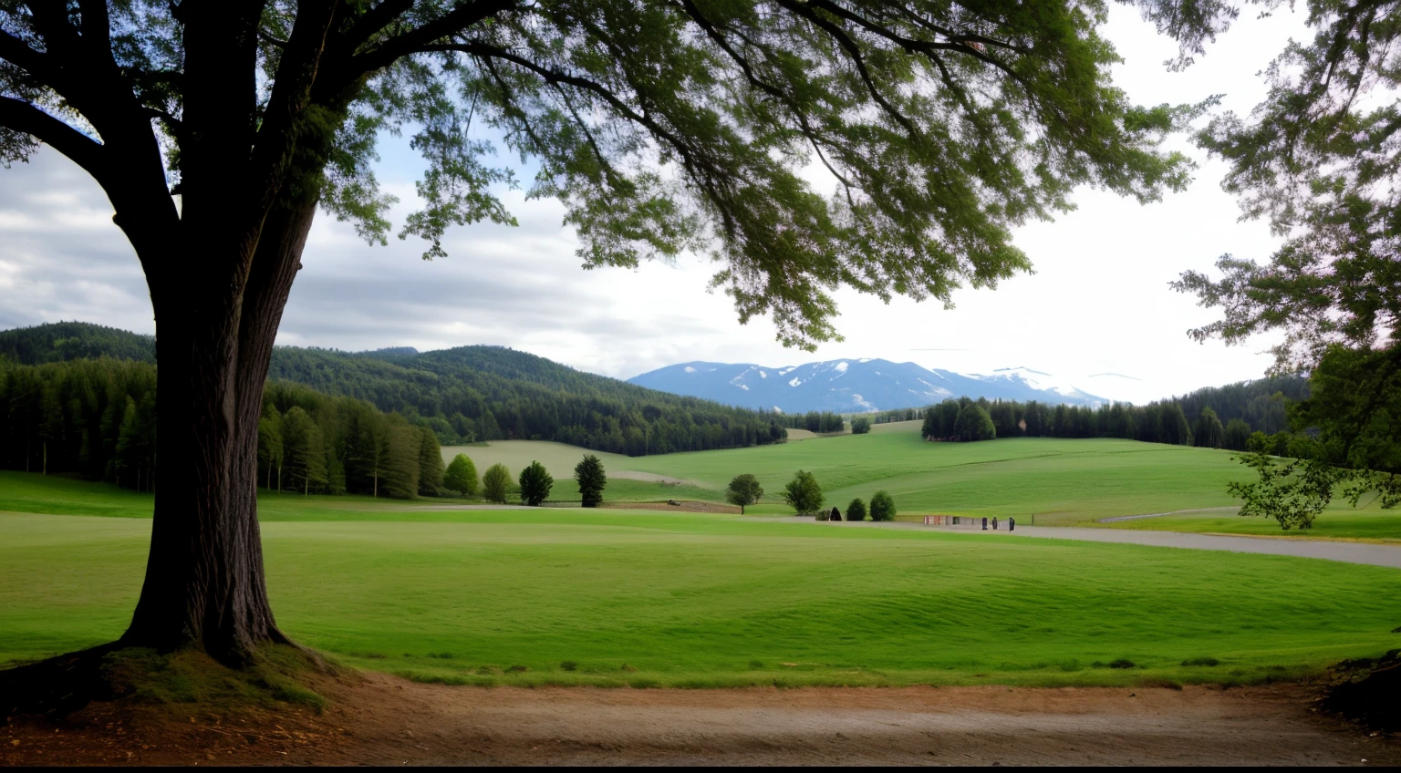 love landscape.