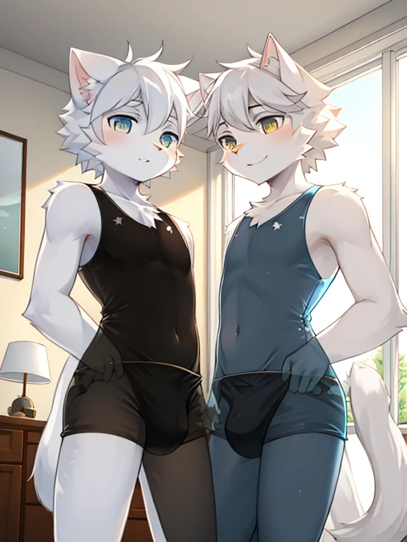 Two male white cats wearing transparent underwear on the bed，Two white cats&#39; The crotches stick together，collars，Red rope wrapped around