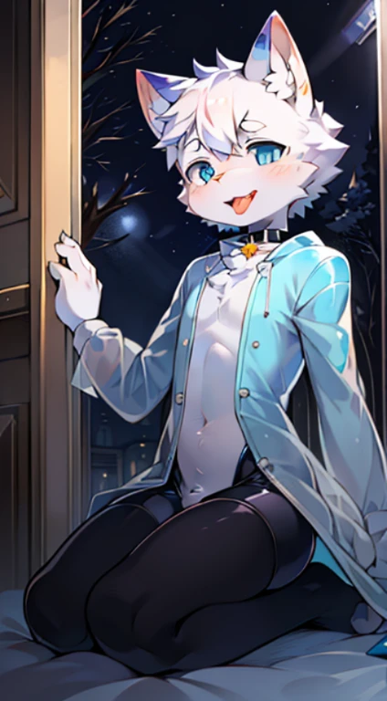 Male white cat，eBlue eyes,Wear a transparent raincoat，Wear tights under a raincoat，the night，collars，Kneeling in a small room，Open your mouth and stick out your tongue