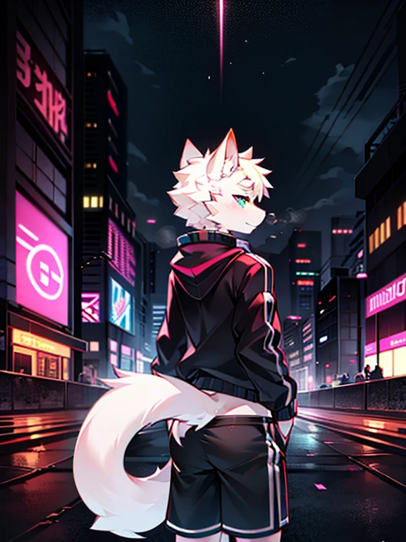 white cat, male people, Alone, Standing on the rooftop overlooking the city, 城市, from back, , (Neon Cyberpunk Jacket),Black  shorts, Earphone, Steam waves， detailed shadow,  (Background with)), cyber punk personage，The tail  raised