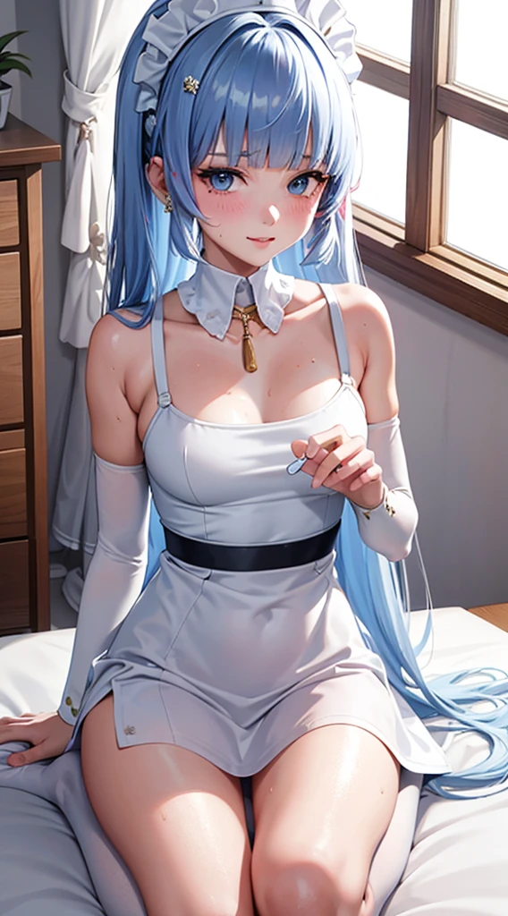 Character Details:, - Gender: 1 Girl.
- Style: Anime, - Body Type: Attractive body, slim body, nice legs, slim tights, nice arms, nice shoulders. - Breast: ((Small Breast:1.2)), Cleavage.
- Facial Feature: Beautiful, Gorgeous, Teenager, Fresh, Young.
- Expression: Shy, Smile, Horny, Pink Blush on Face, Sexy Eyes, Sexy Look, (Sweating:1.4), Innocent Look, Tipsy. - Hairstyle: Blunt Bangs, Long Hair. - Hair Color: Light Blue Hair.
- Clothing: (Sexy Maid Dress:1.2), (white Apron:1.3). - Body Pose: (Kneel). - Behaviour: Waiting, Want Something, Secretly.
- Accessories: Earrings., Environmental Details:, - Setting: Bed Room., - Lighting: Natural Light., - Decoration: Modern Bed, Desk, Chair, Window, curtain, City View. Top view. pov, anime style, UHD, retina, masterpiece, accurate, anatomically correct, textured.