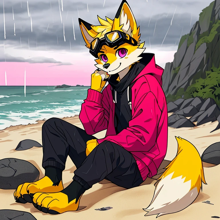 (A character), (fox with yellow fur and white ), (under muzzle is white), (yellow fur), (white tail tip), (wearing a magenta sweater), (light blue scarf), (yellow jockey hat with orange visor), (orange visor), (magenta eyes), (slim and fit body), (apparently slim but strong appearance), (relaxed expression), (male), (medium height), (solitary), (white eyebrows), (4 toes on his paws), (5 toes on his hands), (magenta eyes), fluffy, (fluffy fur), (goggles), (black crystal goggles), (yellow paws), (background beach), (beach), (rocks in the sand), rocks, (his sweater covers his ), (yellow tail with white tips), (his paws and hands are yellow), (black paws), (claws), (golden fur), (golden yellow fur), (black pawpads), kerchief, (sitting), (cloudy), (cloudy day), (cloudy day at the beach), (rain), (rain at the beach), (rain at the beach)