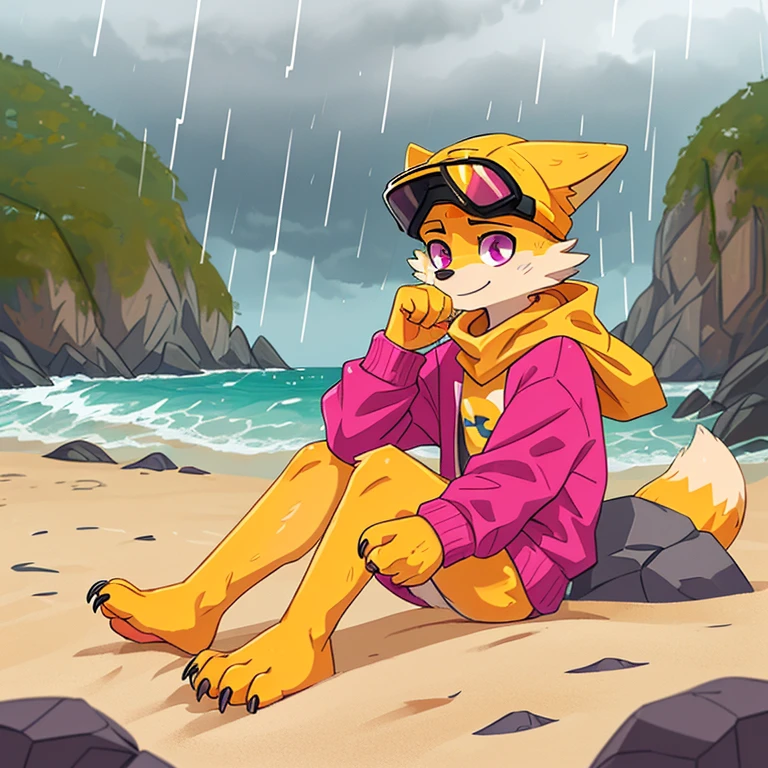 (A character), (fox with yellow fur and white chest), (under muzzle is white), (yellow fur), (white tail tip), (wearing a magenta sweater), (light blue scarf), (yellow jockey hat with orange visor), (orange visor), (magenta eyes), (slim and fit body), (apparently slim but strong appearance), (relaxed expression), (male), (medium height), (solitary), (white eyebrows), (4 toes on his paws), (5 toes on his hands), (magenta eyes), fluffy, (fluffy fur), (goggles), (black crystal goggles), (yellow paws), (background beach), (beach), (rocks in the sand), rocks, (his sweater covers his crotch), (yellow tail with white tips), (his paws and hands are yellow), (black paws), (claws), (golden fur), (golden yellow fur), (black pawpads), kerchief, (sitting), (cloudy), (cloudy day), (cloudy day at the beach), (rain), (rain at the beach), (rain at the beach), (yellow cap), (yellow cap with orange visor), young, (white eyebrows), (thick eyebrows), (claws on their toes), (claws on their fingers), (short claws), short, (medium height